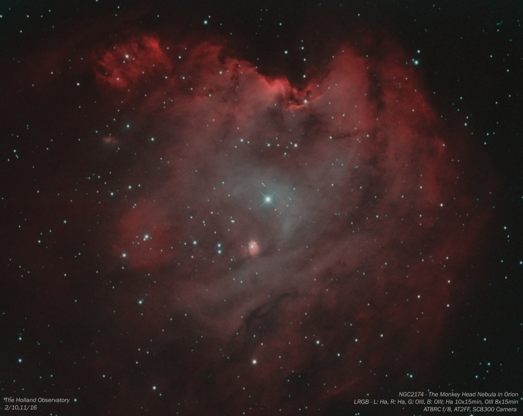 NGC2174 - Monkey Head Nebula in Orion