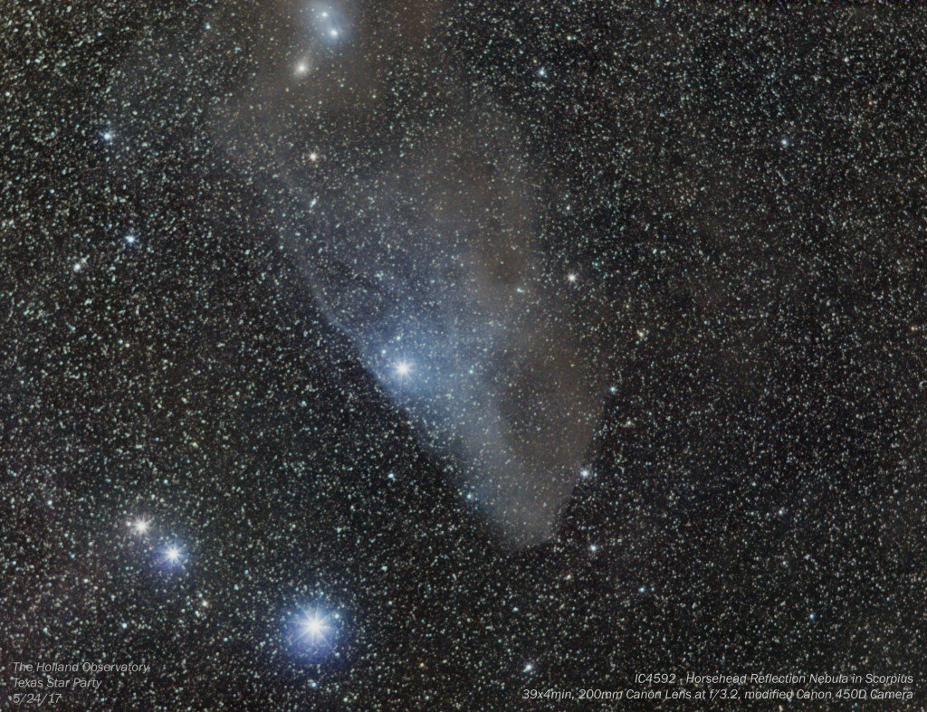 IC4592 - Horsehead Refection Nebula in Scorpius