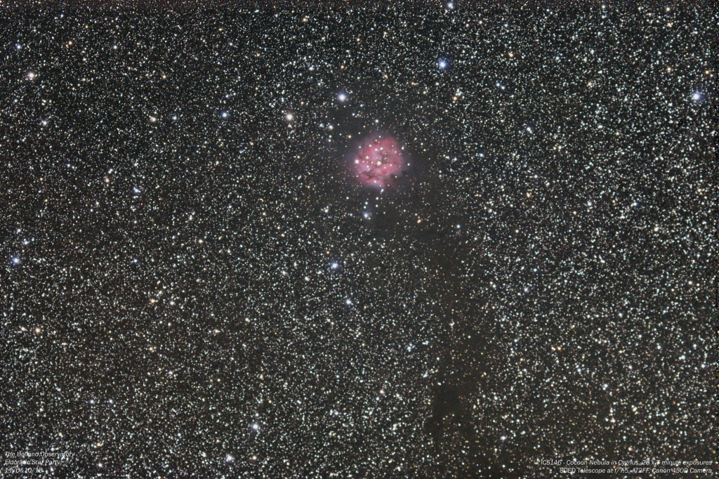 IC5146 - Cocoon Nebula in Cygnus