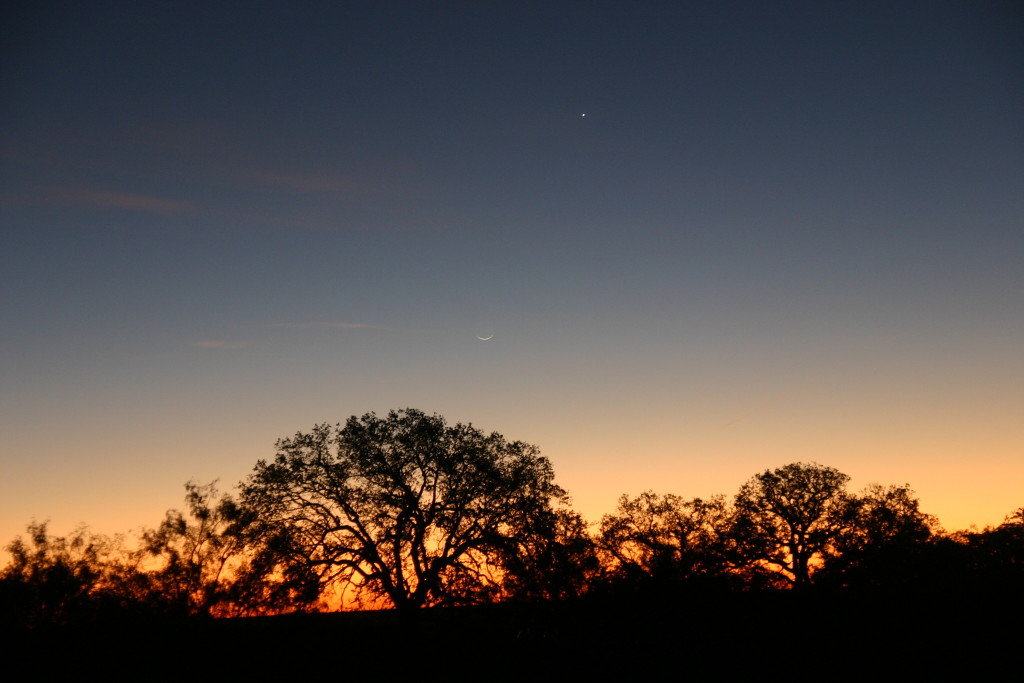 The Moon and Venus - 17 to 70mm Sigma Lens, Canon 300D Camera