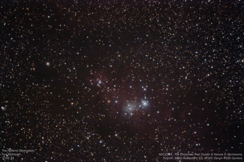 NGC2264 - Christmas Tree Cluster and Nebula in Monoceros