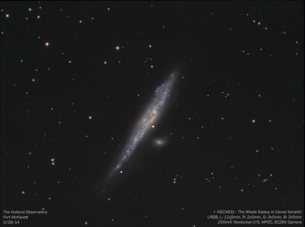 NGC4631 - Whale Galaxy in Canes Venatici